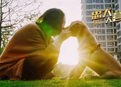 忠犬大營救好看嗎 忠犬大營救劇情介紹