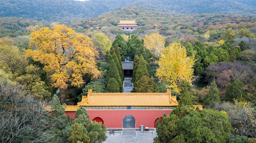 南京秋天好玩的景點 南京秋天適合玩的地方