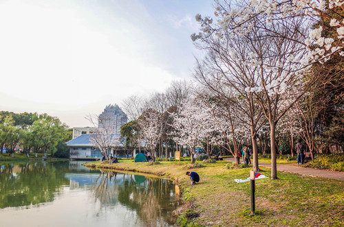 上海特色公園有哪些 這幾個(gè)值得一去