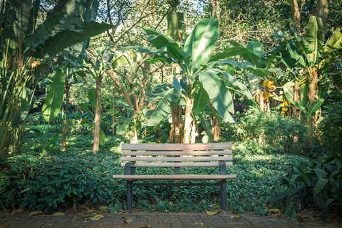 蓮花山公園幾點關(guān)門 蓮花山公園開放時間