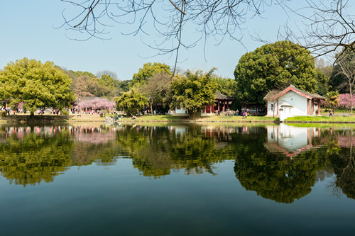 深圳地鐵5號線沿線景點游玩攻略