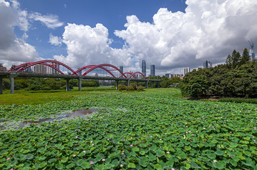 深圳地鐵7號線景點游玩攻略