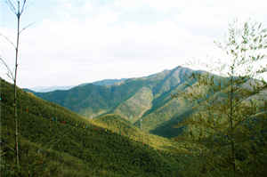 深圳大南山地鐵怎么去（附登山道詳情）