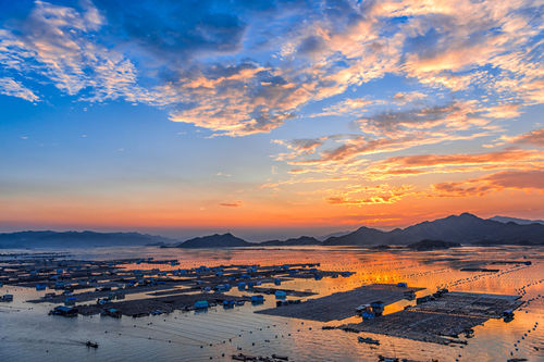 深圳哪些地方適合看日落 景色都極美