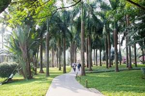 深圳蓮花山公園車(chē)位停車(chē)預(yù)約指南