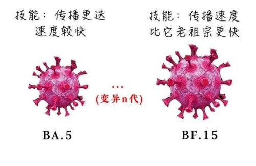 8月29日深圳新增9例病例 首次發(fā)現BF.15變異株