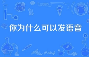 你為什么可以發(fā)語音梗是什么意思